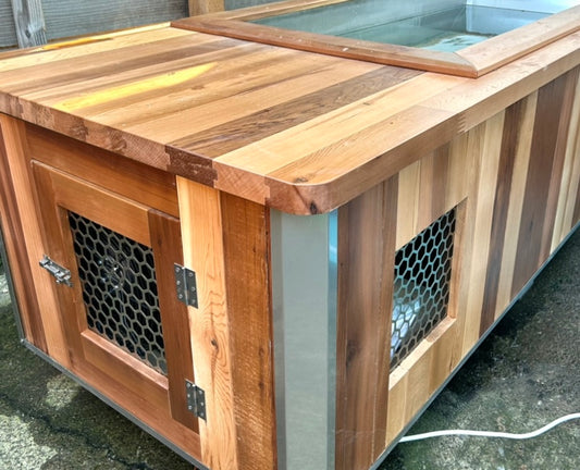 Diving Into Cold Plunging - Why You Should Buy A Chiller System
